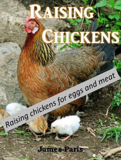 Chickens: Raising Chickens, Choosing the Best Chickens, Chicken Feeding & Care