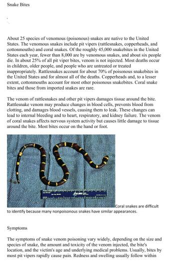 Snake Bites