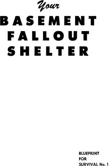 Your Basement Fallout Shelter