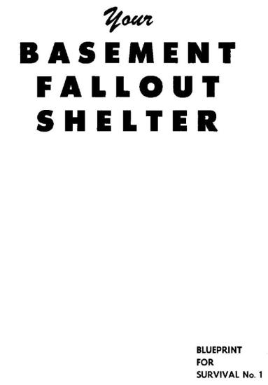 Your Basement Fallout Shelter