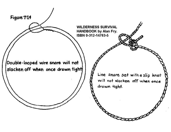 Wilderness Survival Handbook